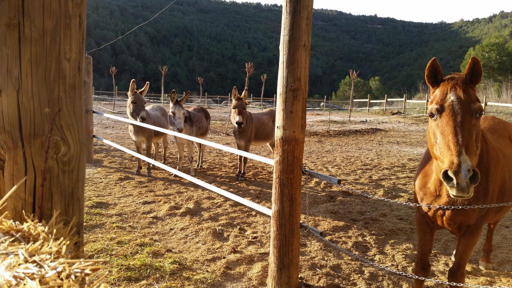 فيلا Les Muntades خوربا المظهر الخارجي الصورة